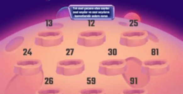 TEK ASAL ÇARPANI OLAN SAYILAR