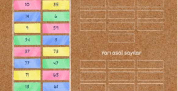 ASAL VE YARI ASAL SAYILAR