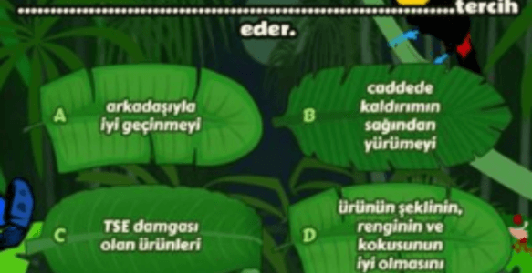 3 HAYAT BİLGİSİ-1