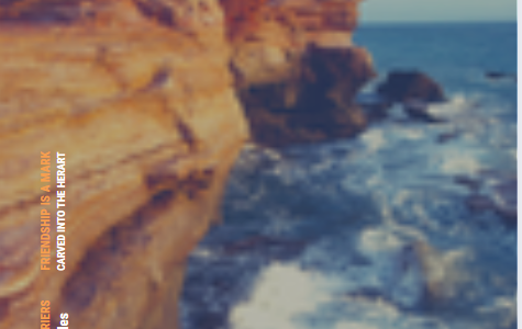 Engeelsiz Dostluk Degisi Yayınlandı.